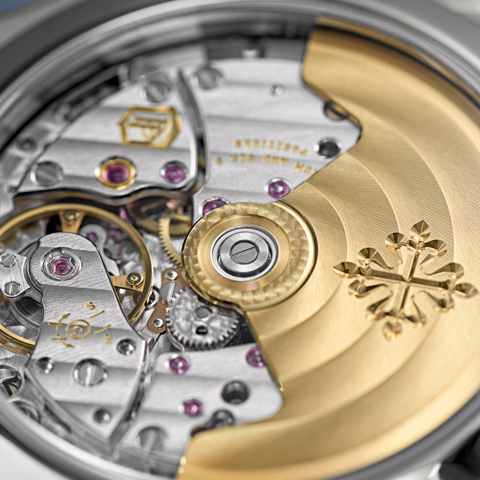 Nautilus Stainless Steel gallery 9
