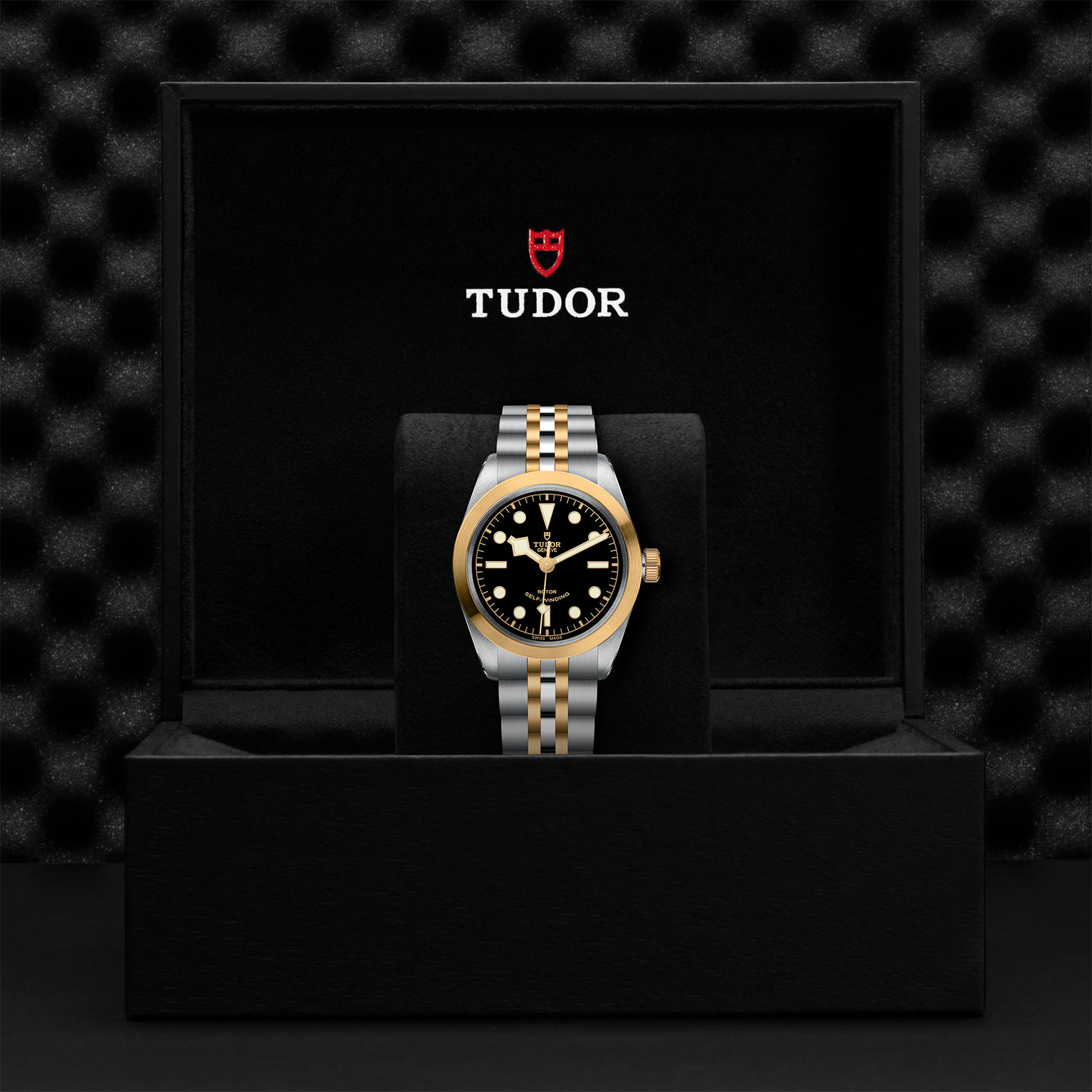Tudor Black Bay 36 S&G M79503-0001