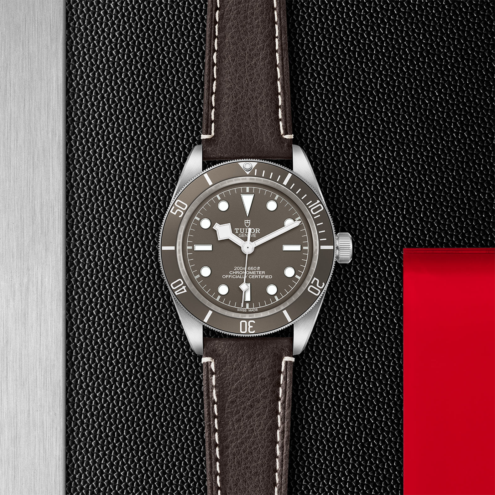 Tudor Black Bay Fifty-Eight 925 M79010SG-0001