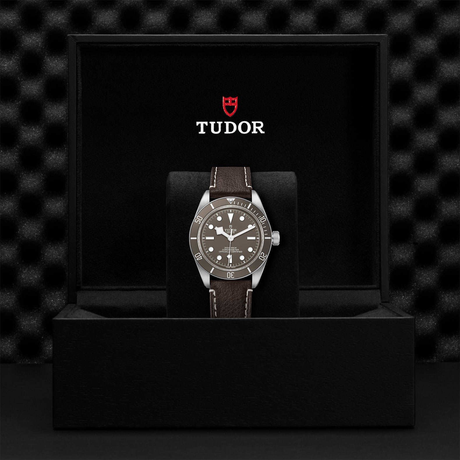 Tudor Black Bay Fifty-Eight 925 M79010SG-0001