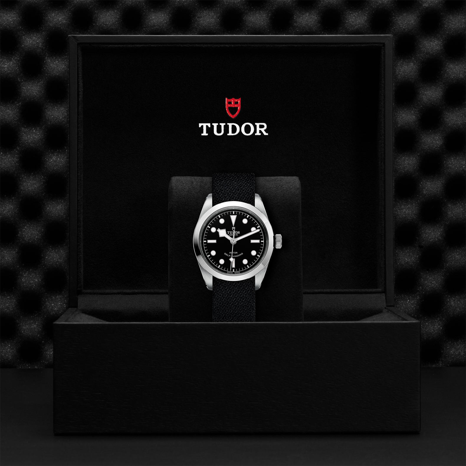 Tudor Black Bay 36 M79500-0010