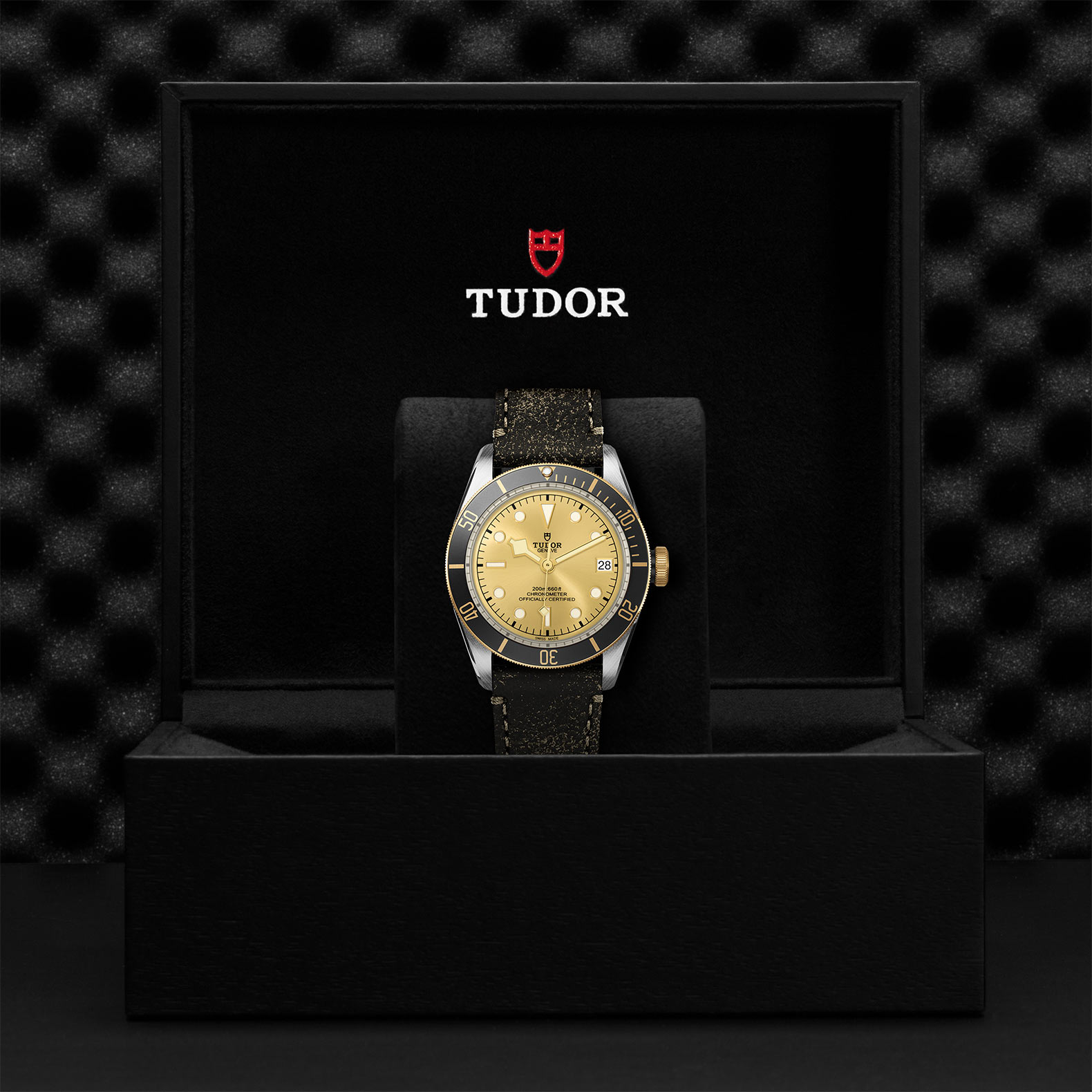 Tudor Black Bay S&G M79733N-0003
