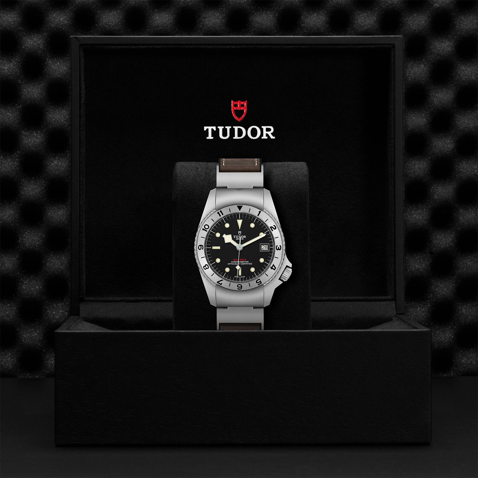 Tudor Black Bay P01 M70150-0001