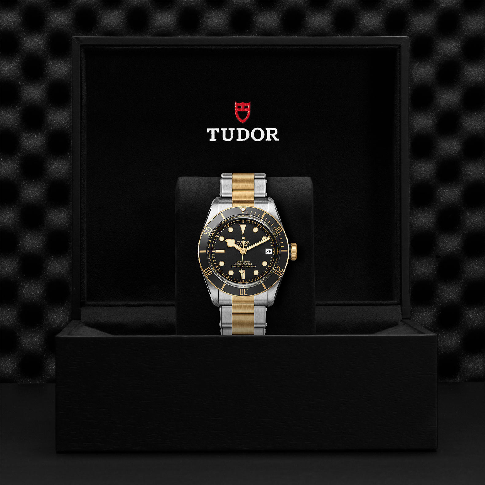 Tudor Black Bay S&G M79733N-0008
