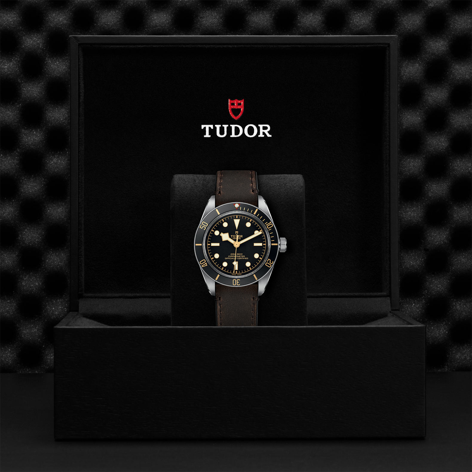 Tudor Black Bay Fifty-Eight M79030N-0002