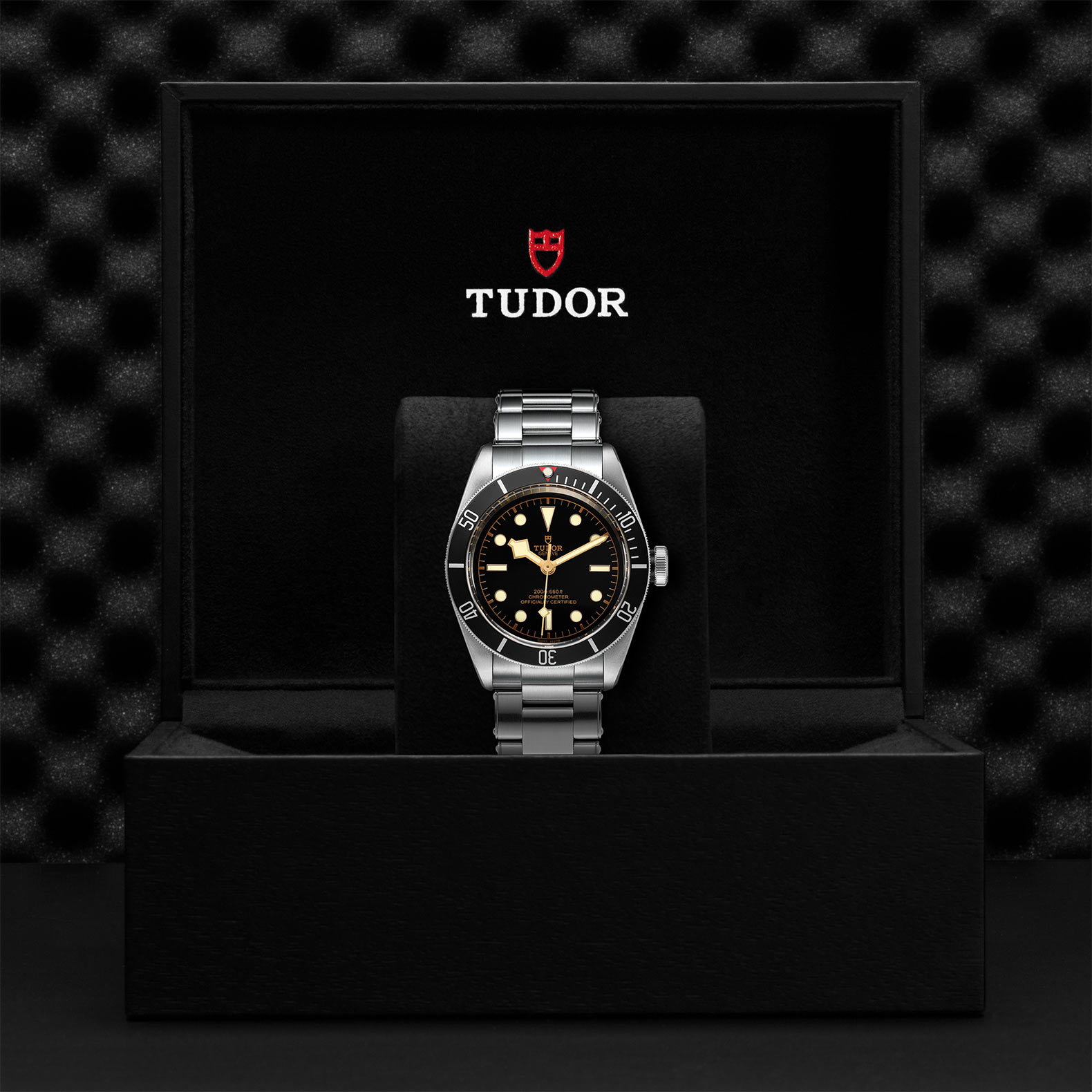 Tudor Black Bay M79230N-0009