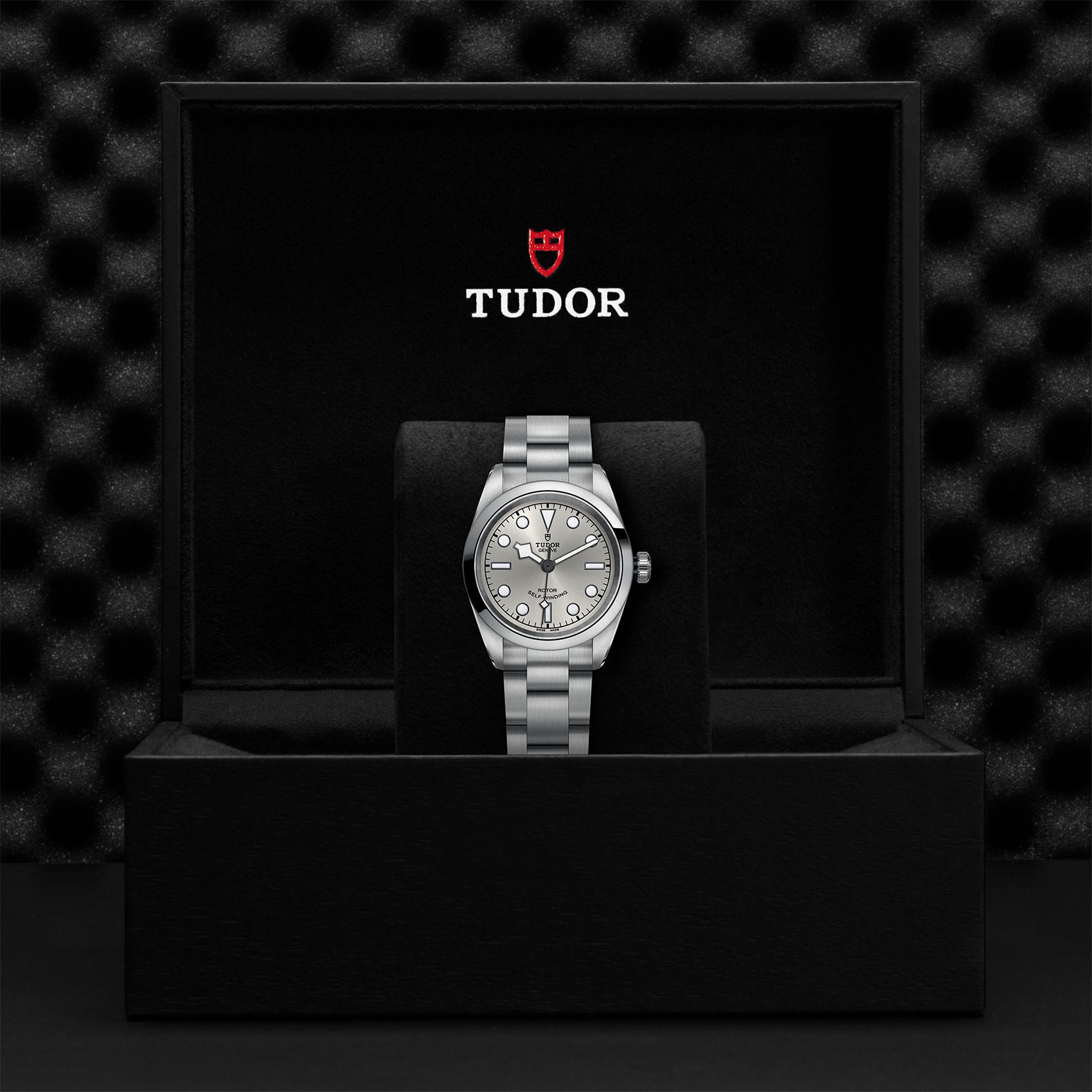 Tudor Black Bay 32 M79580-0007