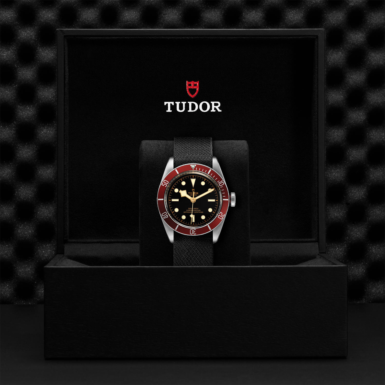 Tudor Black Bay M79230R-0010