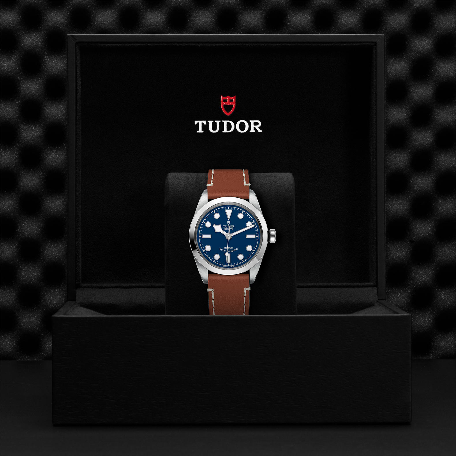 Tudor Black Bay 36 M79500-0006