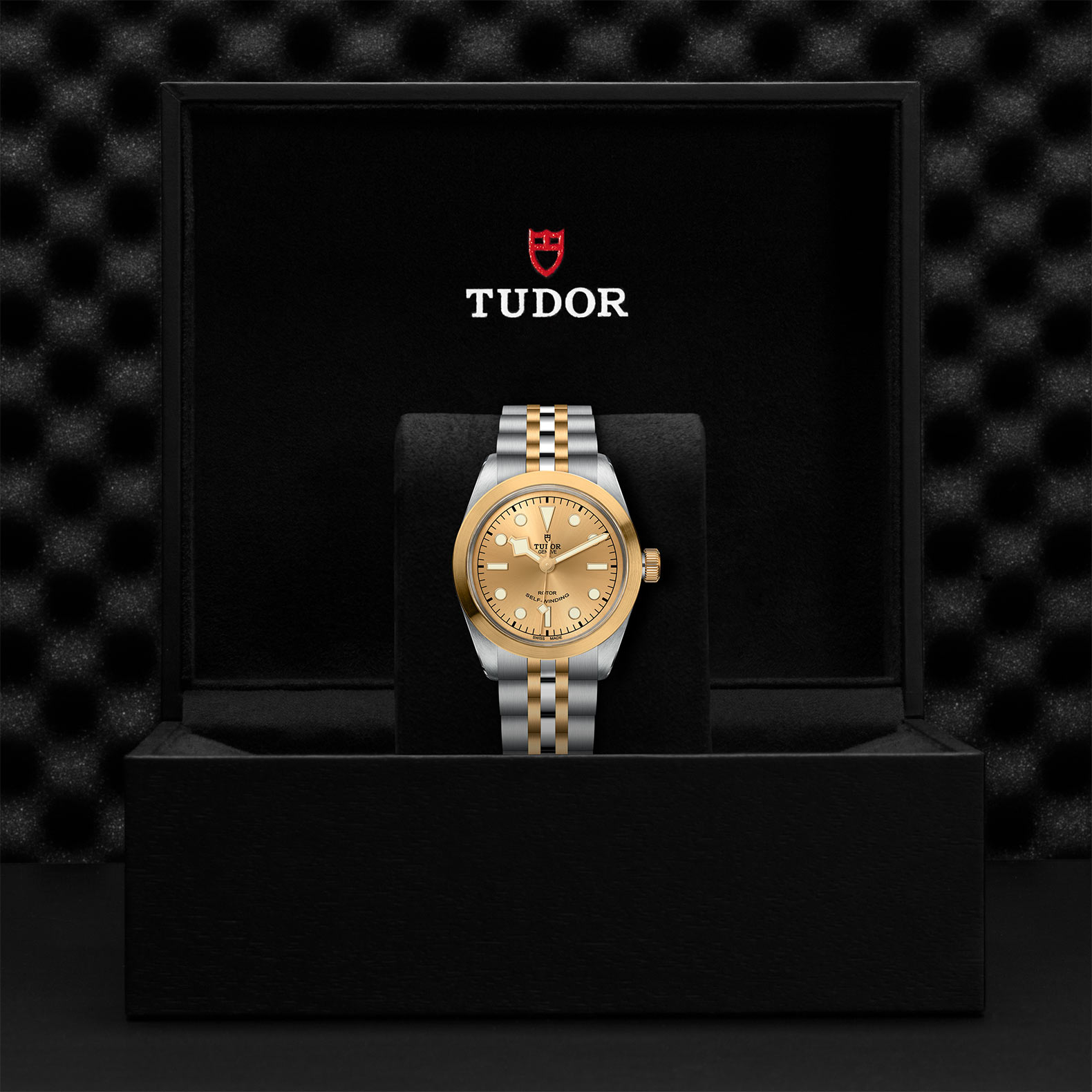 Tudor Black Bay 36 S&G M79503-0002