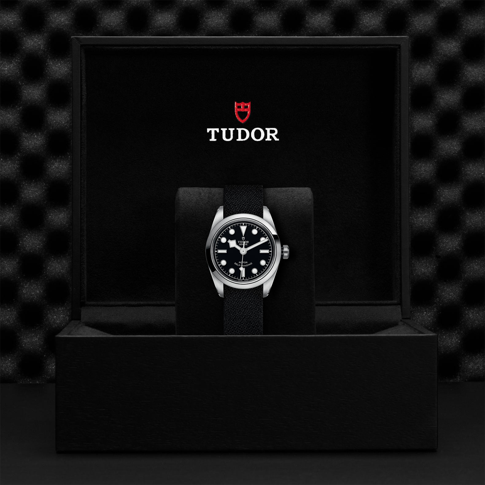 Tudor Black Bay 32 M79580-0005
