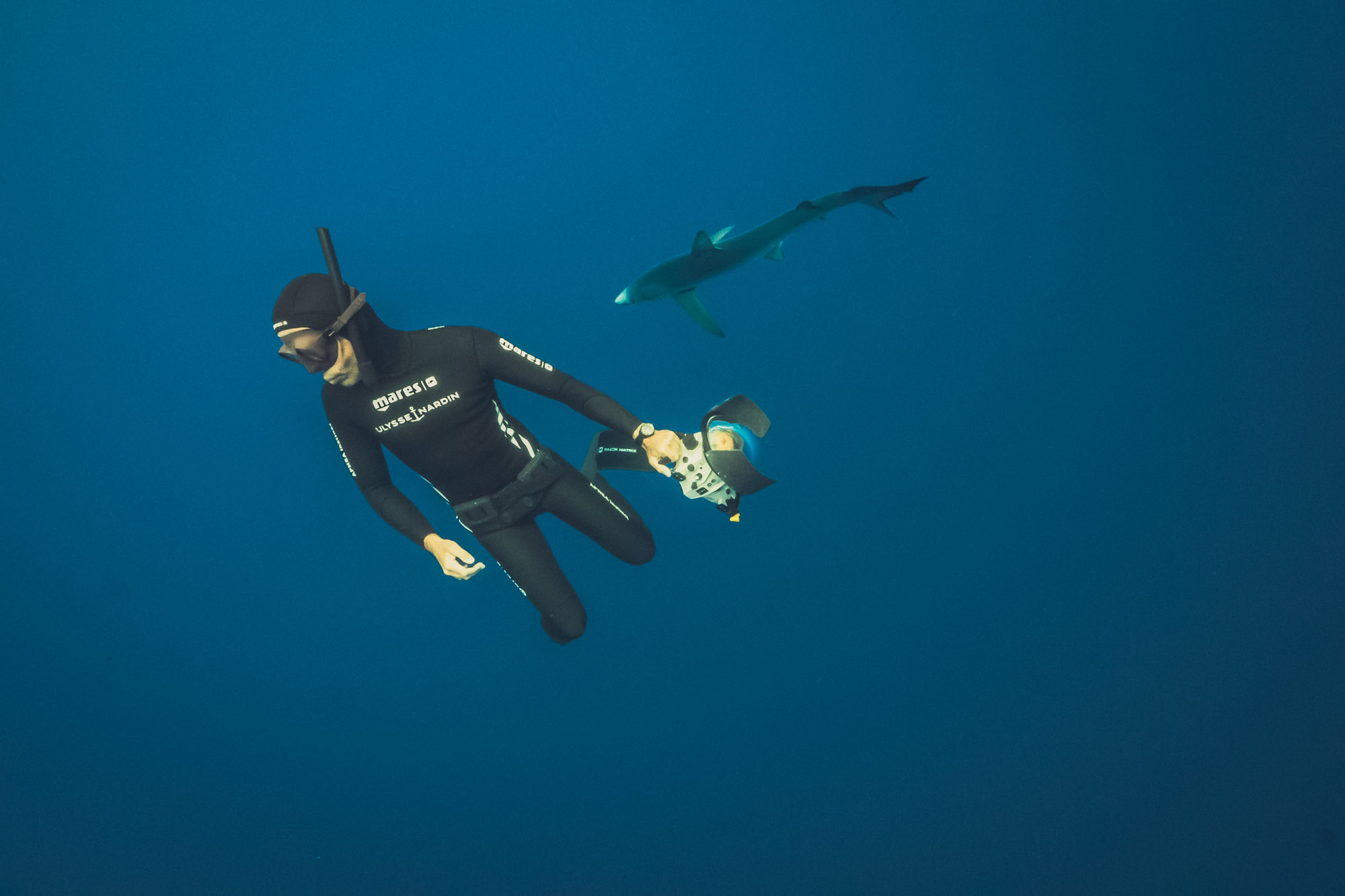 Diving Deep with the Ulysse Nardin Diver Lemon Shark PMT The Hour